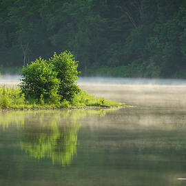 Misty Morning on the Lake by Angie Purcell