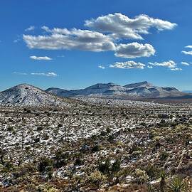 Mojave National Preserve Snowy Mountains by Collin Westphal