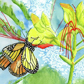 Monarch Butterfly on Yellow Bird of Paradise Flower Watercolor by Linda Brody
