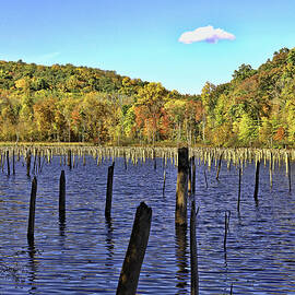 Monksville Reservoir 5 by Allen Beatty