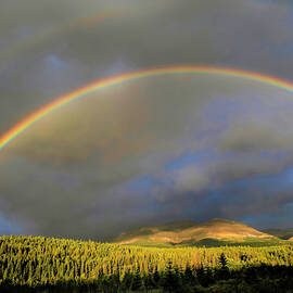 Montana Double Rainbow by Donna Kennedy