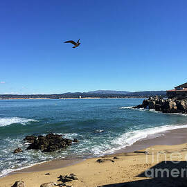 Monterey Coast From Cannery Row by Suzanne Luft