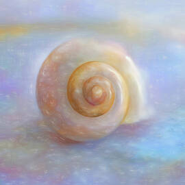 Dreamy Moon Shell  by Carol Lowbeer