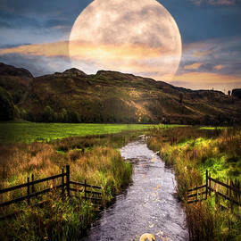 Moonlight on the Swans II by Debra and Dave Vanderlaan