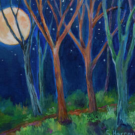 Moonlit Forest