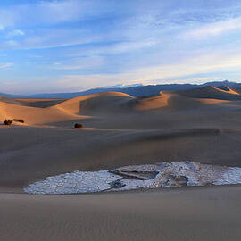 Morning Breaks on Mesquite Dunes by Joe Schofield
