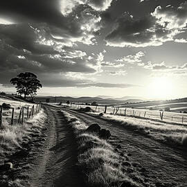Morning Country Road by Bill Posner