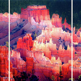  Morning Light, Bryce Canyon Triptych by Douglas Taylor