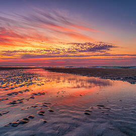 Morning Magic by Penny Polakoff