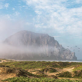 Morning Mist at Morro Bay Rock by Patti Deters