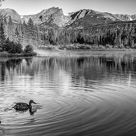 Morning Perfection At Rocky Mountain's Sprague Lake - Black and White by Gregory Ballos