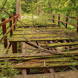 Mossy Bridge by Kevin Anderson