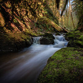 Mossy Magic Waterfall by Jennifer Richardson