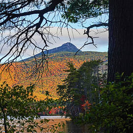 Mount Chocorua through the trees from Chocorua Lake Tamworth New Hampshire Fall Foliage by Toby McGuire