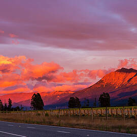 Mount Patriach and the Red Hills, along the Wairau Valley, Blenh by Maggie Mccall