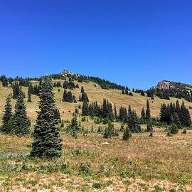 Mount Rainier - Sunrise Side