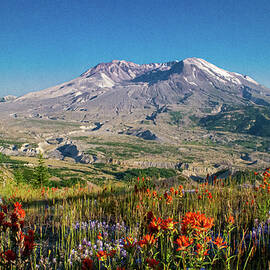 Mount St. Helens, Washington by Randy D Morrison