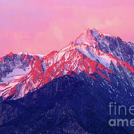 Mount Williamson At Sunrise by Douglas Taylor