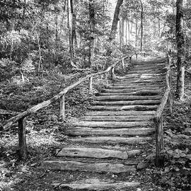 Mountain Trail Stairway - Blue Ridge Mountains by Bob Decker