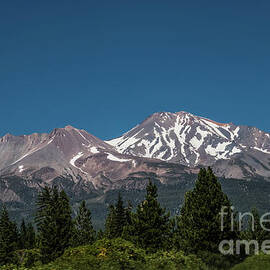 Mt. Shasta Two Years Later by Suzanne Luft