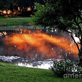 Multiplied Sunrise by Peter Horrocks