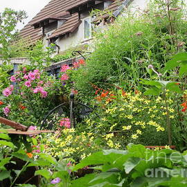 My Summer Garden After Rain by Lesley Evered