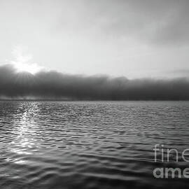 Mystical Foggy Lake Morning Grayscale by Jennifer White