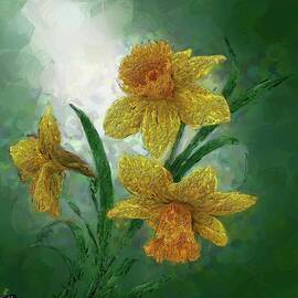 Narcissus Flowers by Anas Afash