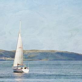 Nautical Splendor On The River Derwent by Toni Abdnour