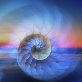 Nautilus Sunset by Terry Davis