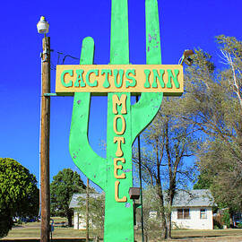 Neon Nolstalgia - Cactus Inn Motel by Matt Richardson