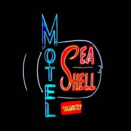 Neon Sea Shell Motel Sign by Susan Hope Finley