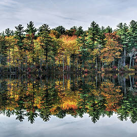 New England Fall 1a by Dimitry Papkov