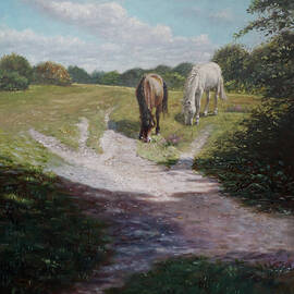 New Forest Horses with light and shade  by Martin Davey
