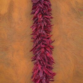 New Mexico Red Chile Ristra Abstract by Rebecca Herranen