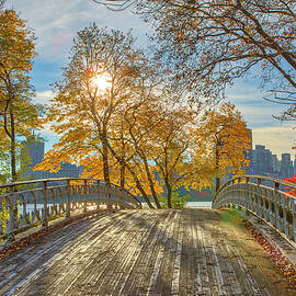 New York City Central Park Bridge and Fall Foliage by Juergen Roth