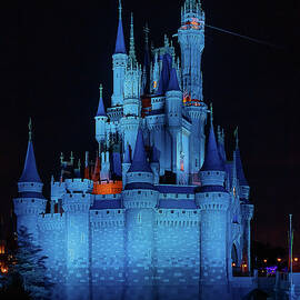 Night Time Cinderella Castle Blue