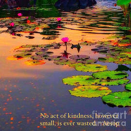 No Act of Kindness, However Small, is Ever Wasted - Aesop by Miriam Danar