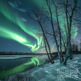 Northern Lights Yukon by Elisabeth Lucas