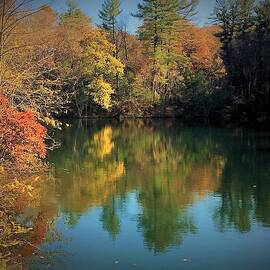 November Reflections at Fuller Lake by Angela Davies