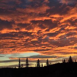 November Sunset