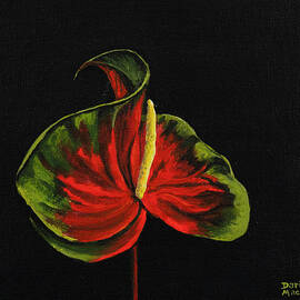 Obake Anthurium  by Darice Machel McGuire