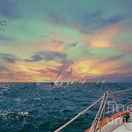 Ocean Race Sunset by David Zanzinger