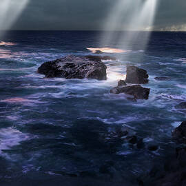Ocean Sunbeams D by Frank Wilson