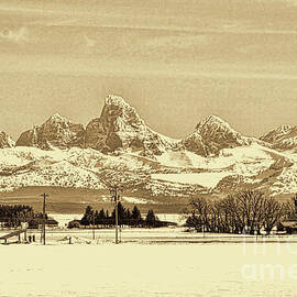 Of Trees and Mountains in Sepia by Brenton Cooper