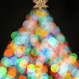 Oh Christmas Tree by Sylvia Goldkranz