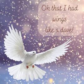 Oh that I had wings like a dove
