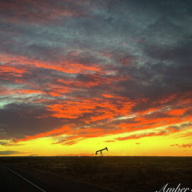 Oilfield Sunrise  by Amber Sherrell