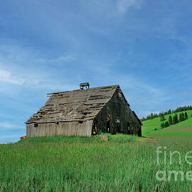 Old Barn at Ladow Butte