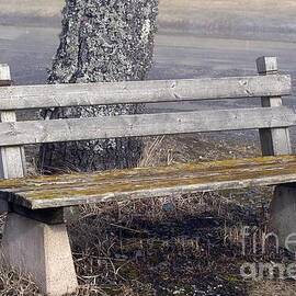Old bench by Esko Lindell